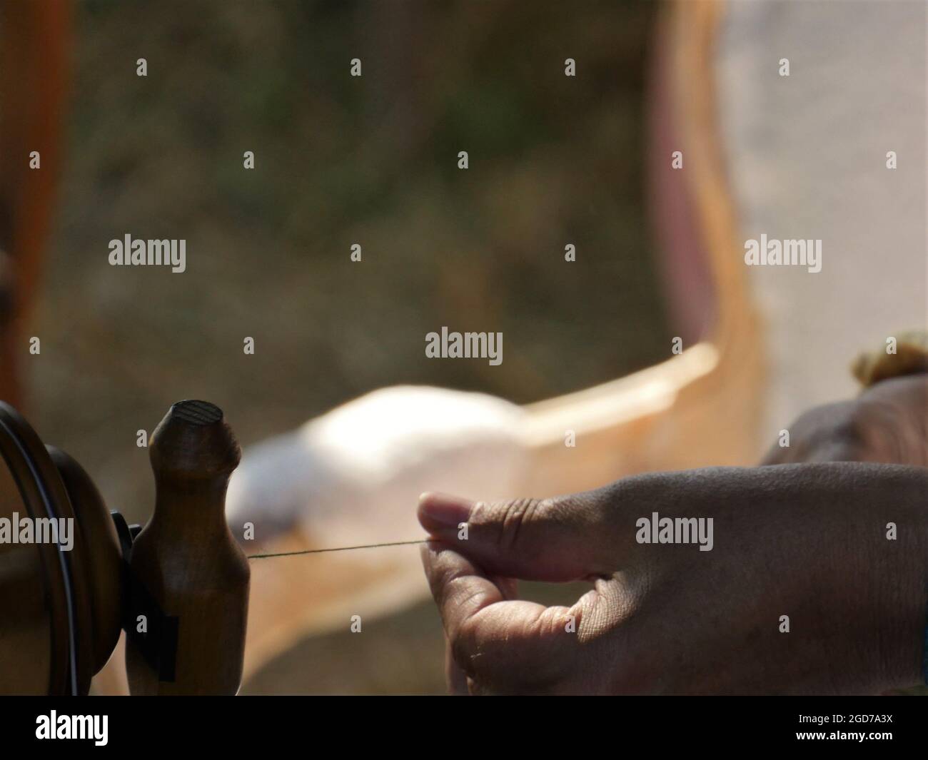 Un filo di lana sottile che è filato diritto e tenuto da una mano, una vecchia artigianalità, sfondo sfocato, un sacco di spazio per il testo. Foto Stock