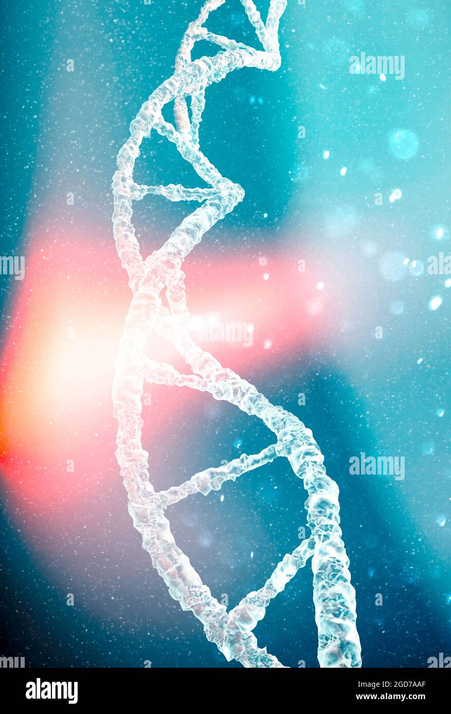 DNA, acido deossiribonucleico è una catena filiforme di nucleotidi che portano le istruzioni genetiche. Elica DNA Foto Stock