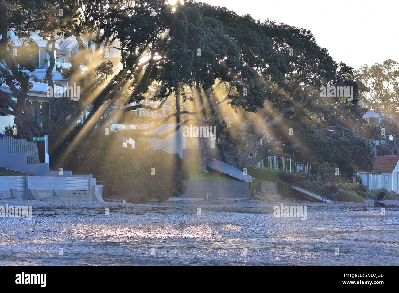 I raggi del sole di sera penetrano da dietro gli alberi di pohutukawa portando la luce sulla sabbia di spiaggia davanti alle case costiere. Foto Stock