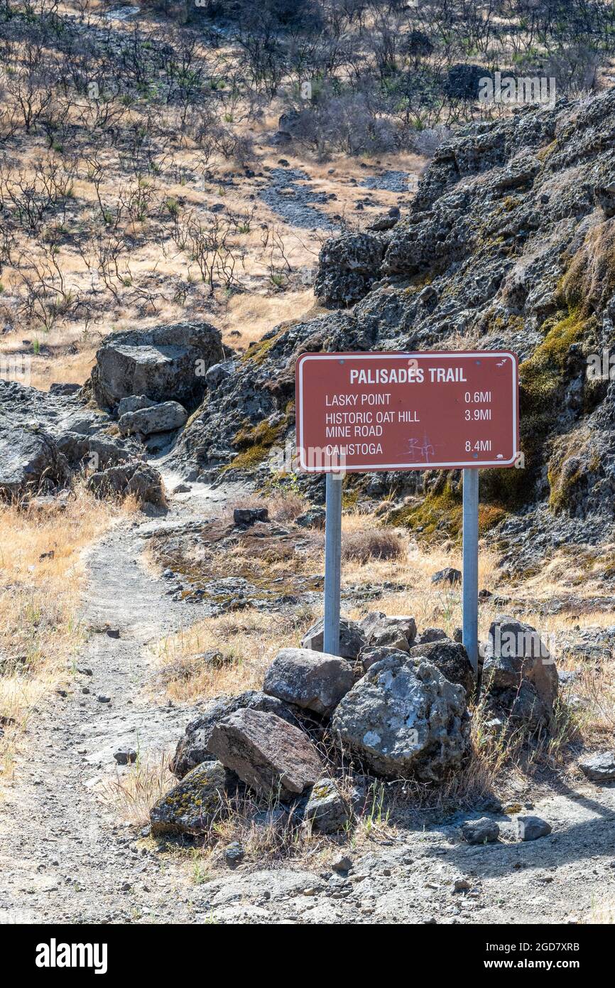 Porzione bruciata del percorso lungo il Robert Louis Stevenson state Park, Napa County, California, USA, Palisades Trail vicino a Table Rock Foto Stock