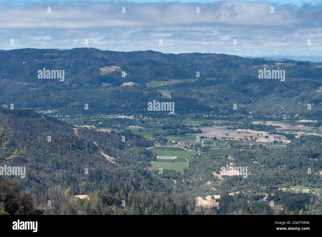 Panoramica della Napa Valley dal Table Rock Trail, Robert Louis Stevenson state Park in una giornata leggermente nuvolosa con cielo blu, con forre verdi Foto Stock