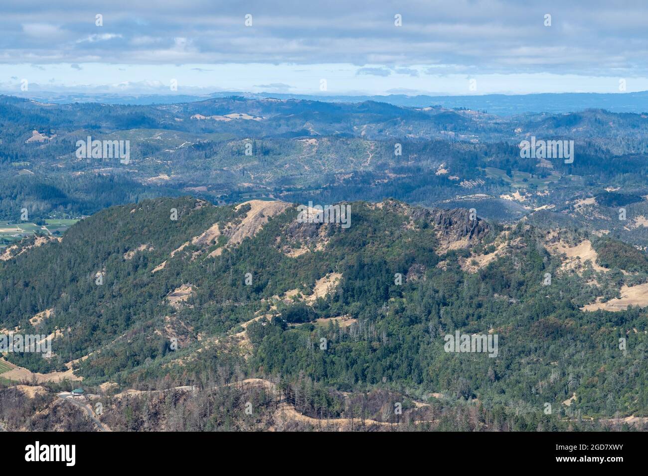 Panoramica della Napa Valley dal Table Rock Trail, Robert Louis Stevenson state Park in una giornata leggermente nuvolosa con cielo blu, con forre verdi Foto Stock