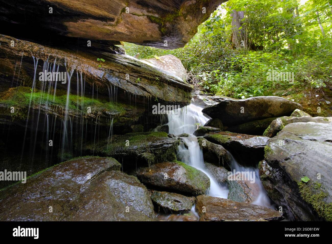 Acque setose che scorrono su rocce e muschio al sentiero delle cascate Otter in Seven Devils, North Carolina, USA, vicino a Banner Elk. Foto Stock