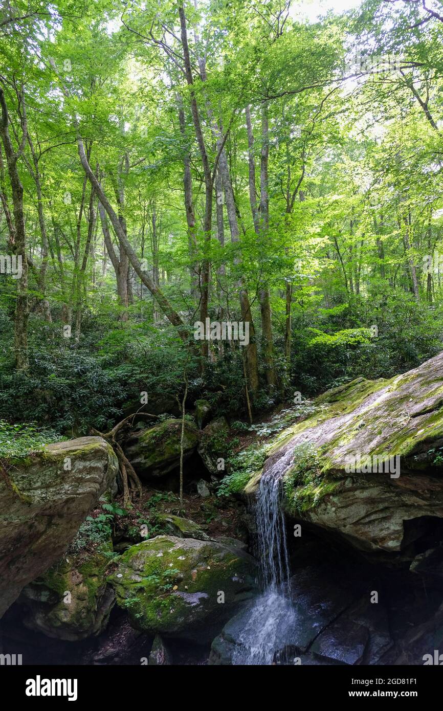 Acqua che scorre su roccia a Otter Falls Trail in Seven Devils, North Carolina, Stati Uniti vicino a Banner Elk Foto Stock