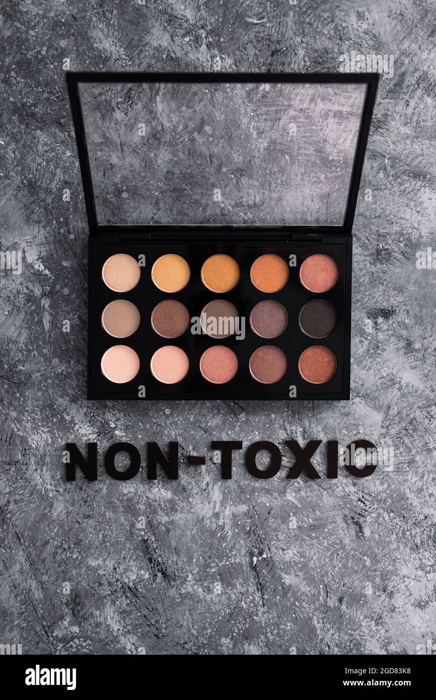 immagine concettuale dei prodotti a basso contenuto di tox e di bellezza naturale, tavolozza dei make-up con testo atossico su sfondo grigio Foto Stock