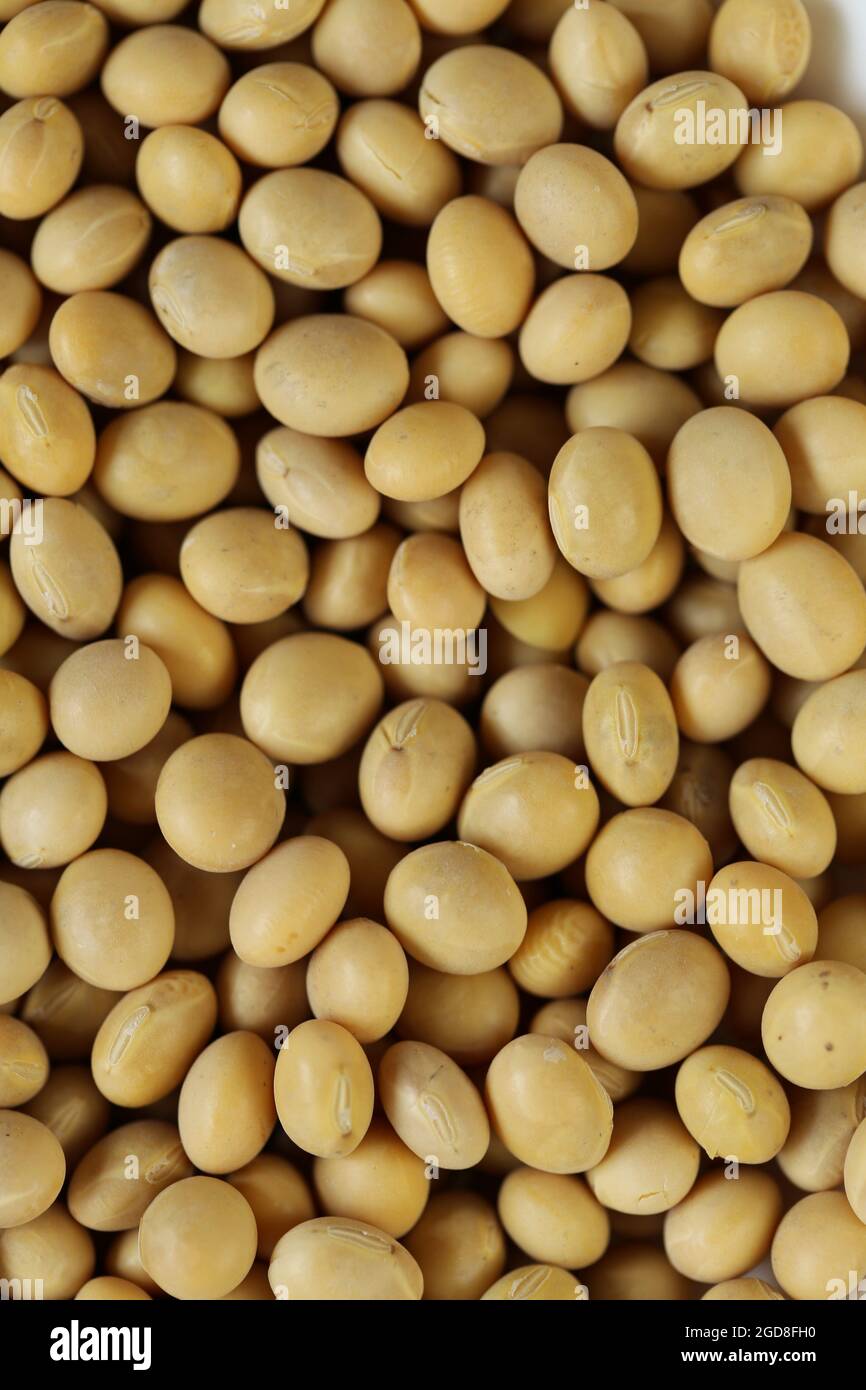 Soia background. Fonte vegetale di proteina. Ingrediente alimentare. Proteine vegetali vegane e vegetariane. Foto Stock