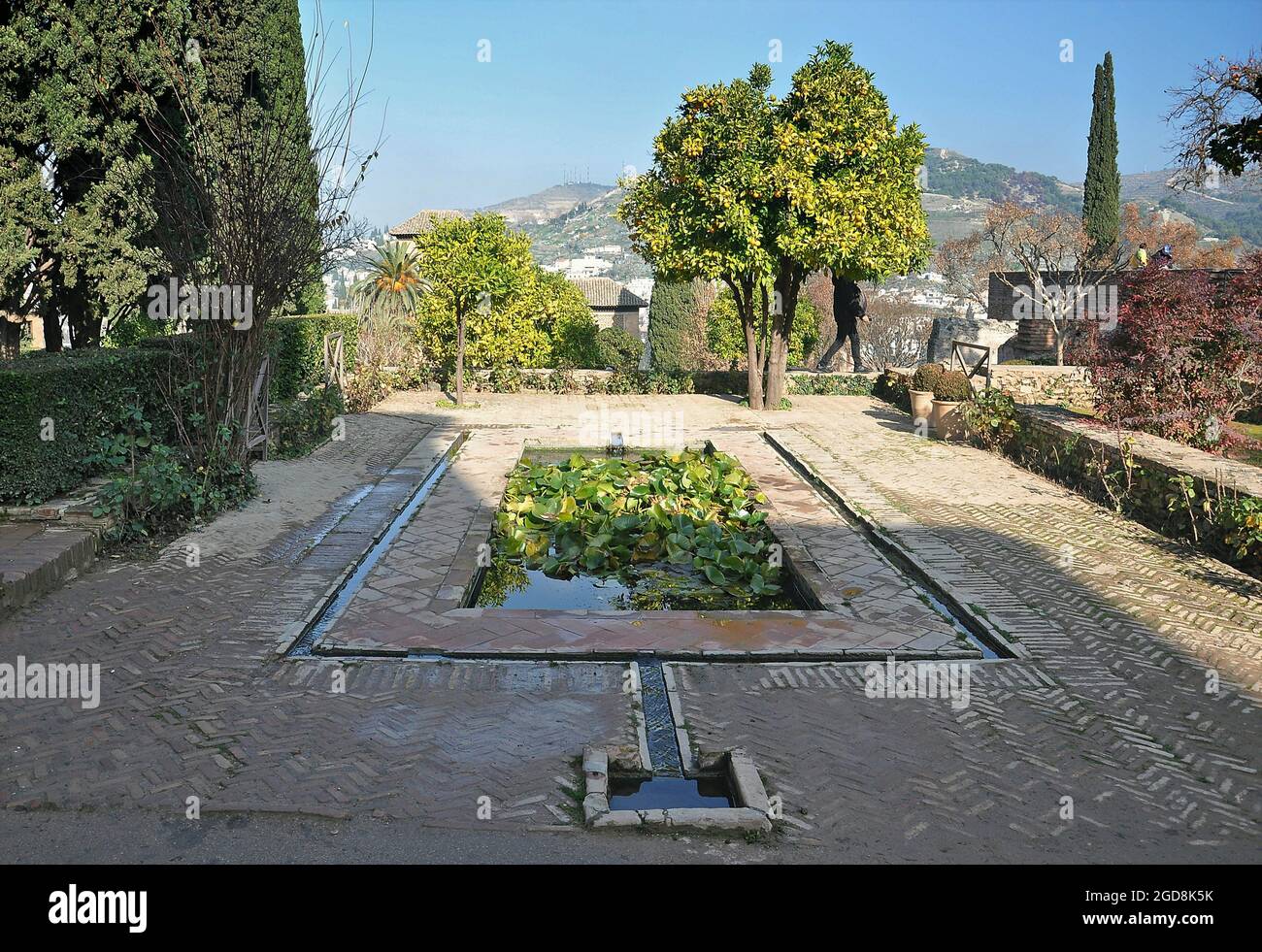 Giardini del Partal, Alhambra di Granada, Andalusia, Spagna Foto Stock