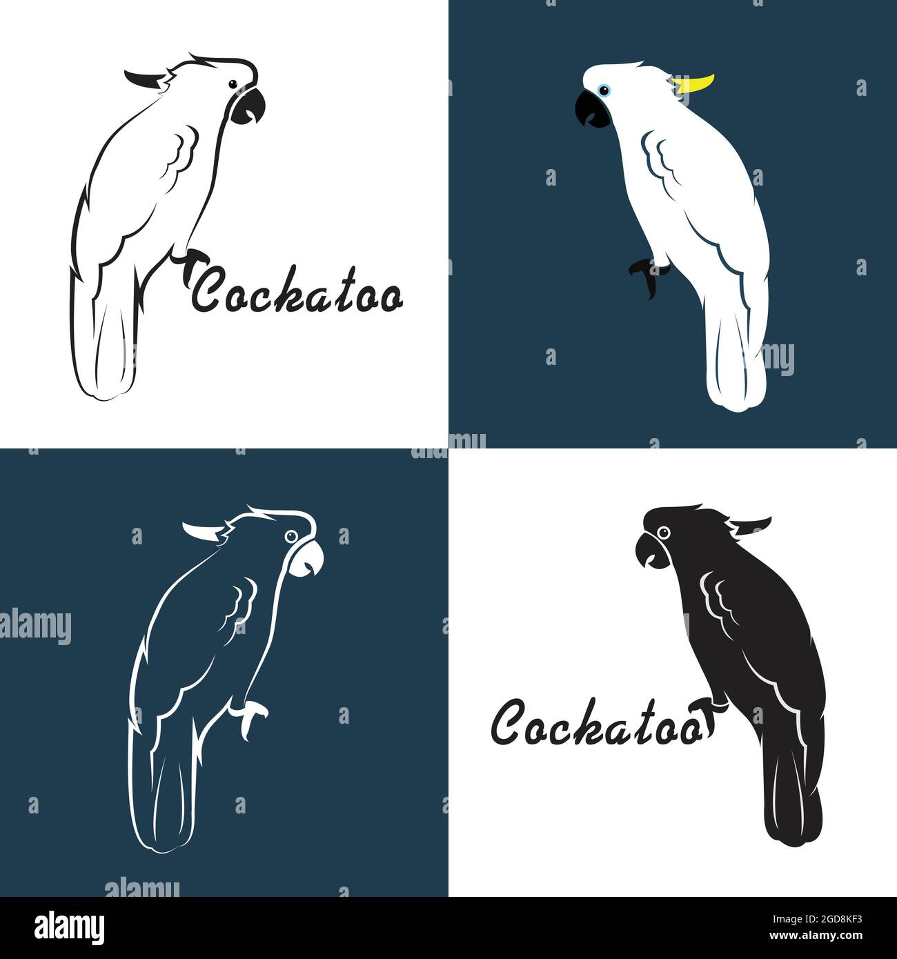 Immagine vettoriale di cockatoo su sfondo bianco e blu. Illustrazione vettoriale a livelli facilmente modificabile. Animali selvatici. Illustrazione Vettoriale