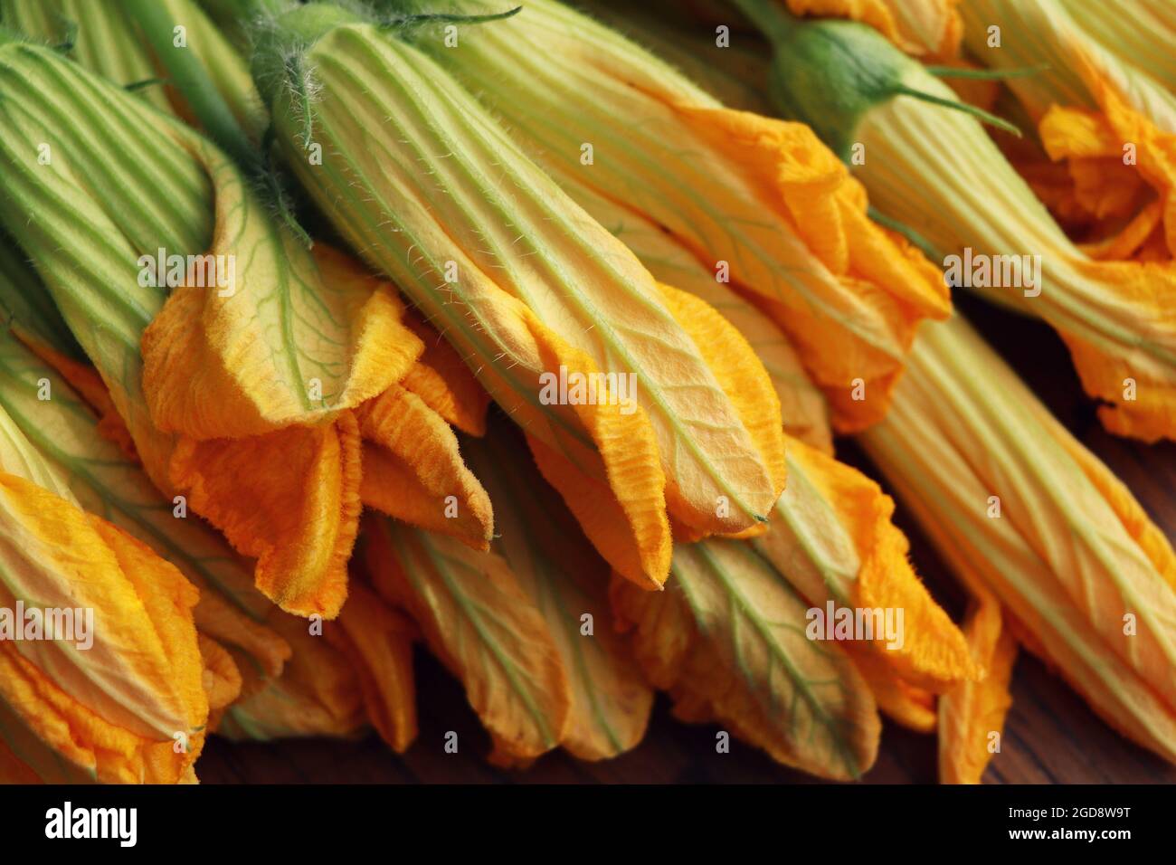 fiori di zucchine su sfondo rustico scuro Foto Stock