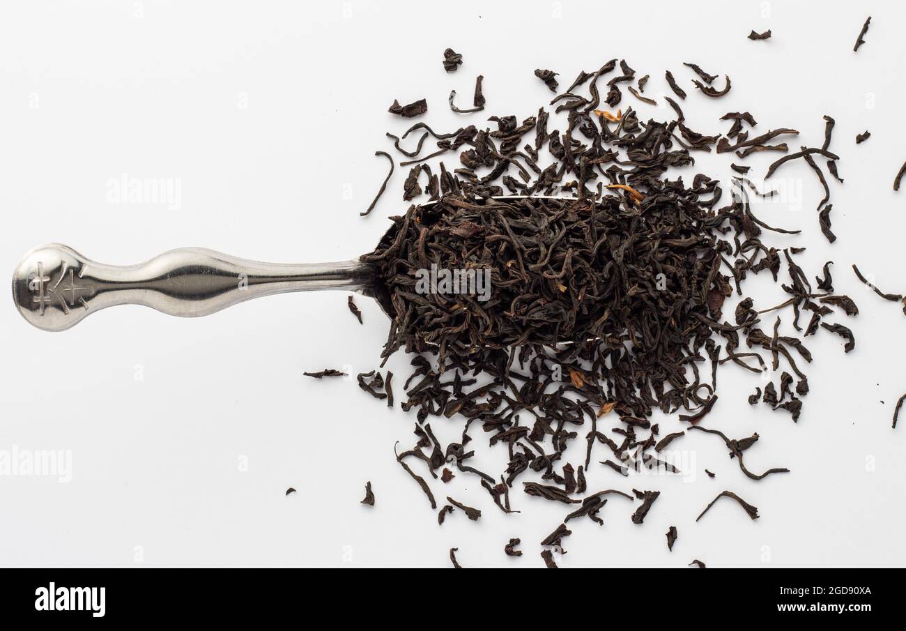 Foglie di tè Assam essiccato su cucchiaio d'argento su sfondo bianco. Foto Stock