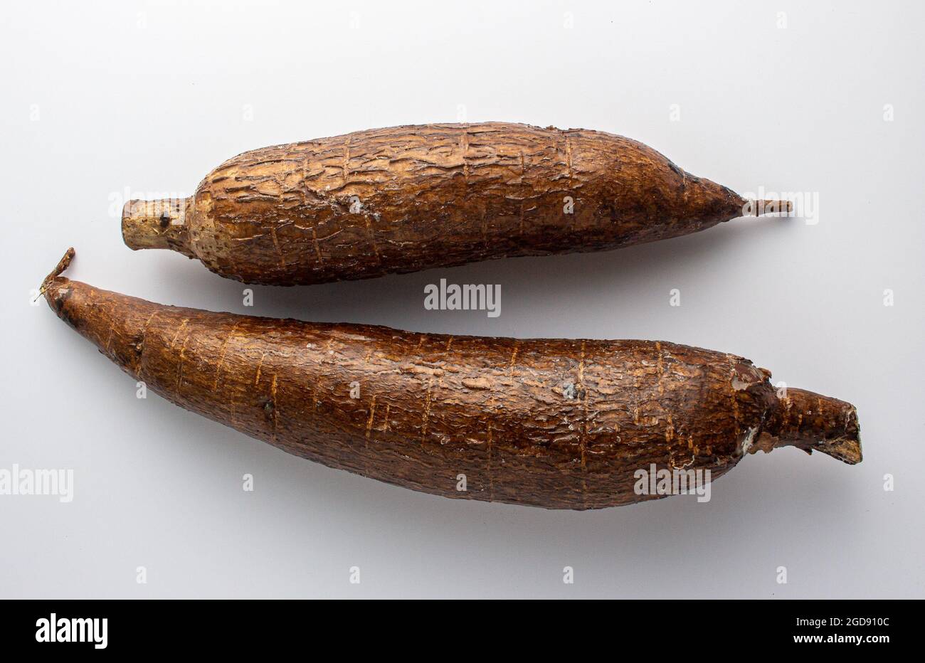 Radici di manioca ./ botanicamente maniaco chiamato esculenta di Manihot Foto Stock