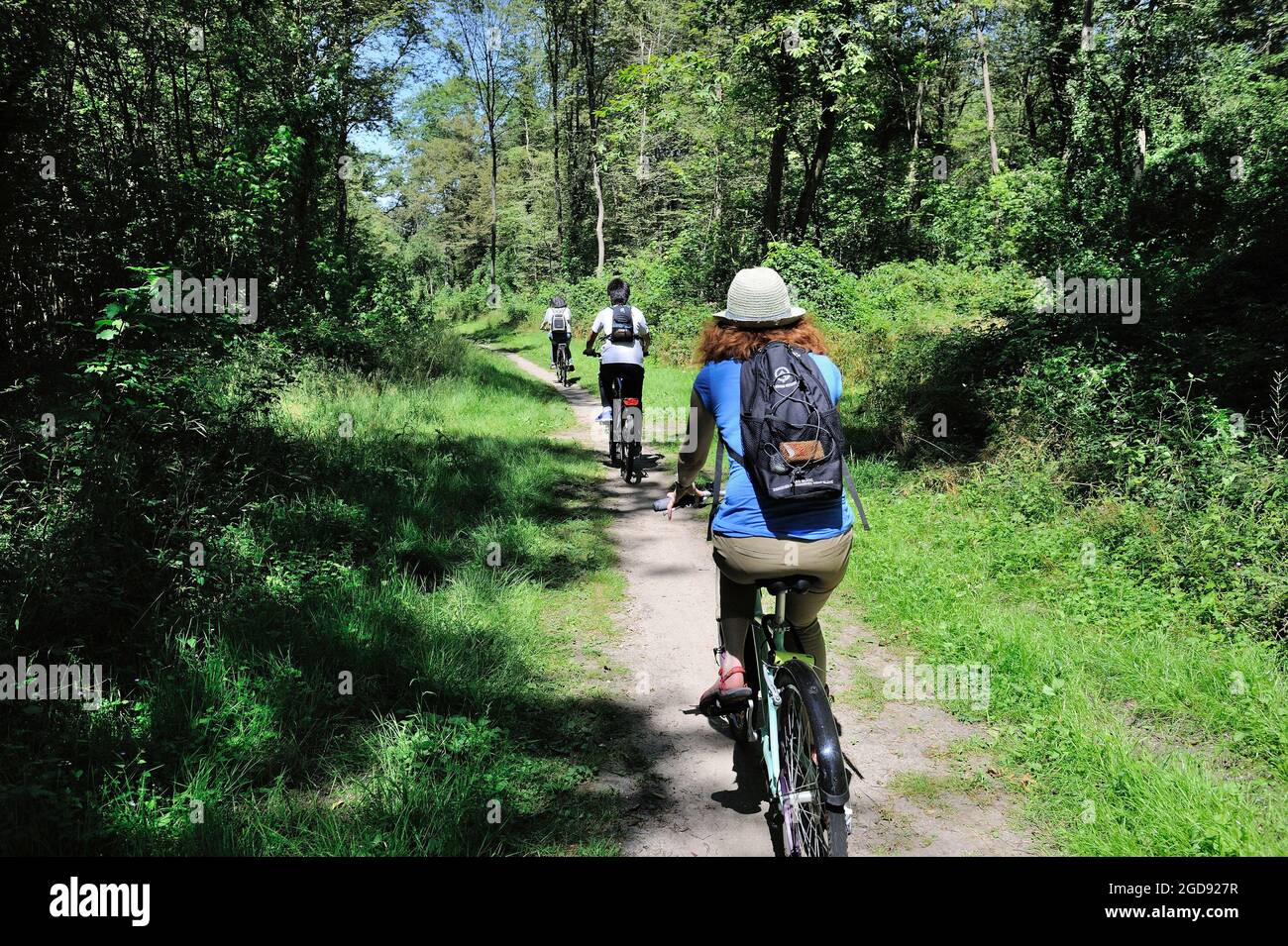 FRANCIA, YVELINES (78) SAINT-GERMAIN-EN-LAYE, GIRO IN BICICLETTA NELLA FORESTA DI SAINT-GERMAIN Foto Stock
