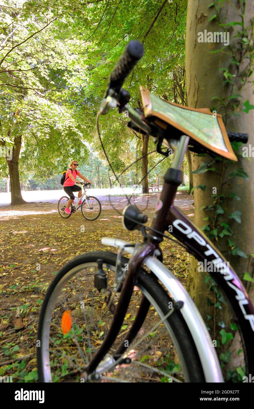 FRANCIA, YVELINES (78) SAINT-GERMAIN-EN-LAYE, GIRO IN BICICLETTA NELLA FORESTA DI SAINT-GERMAIN Foto Stock