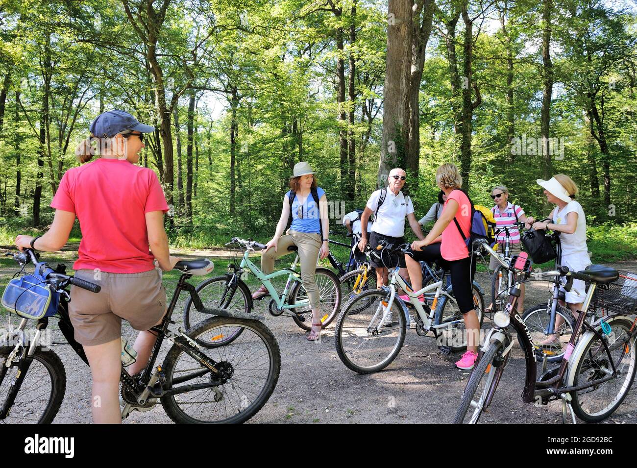 FRANCIA, YVELINES (78) SAINT-GERMAIN-EN-LAYE, GIRO IN BICICLETTA NELLA FORESTA DI SAINT-GERMAIN Foto Stock