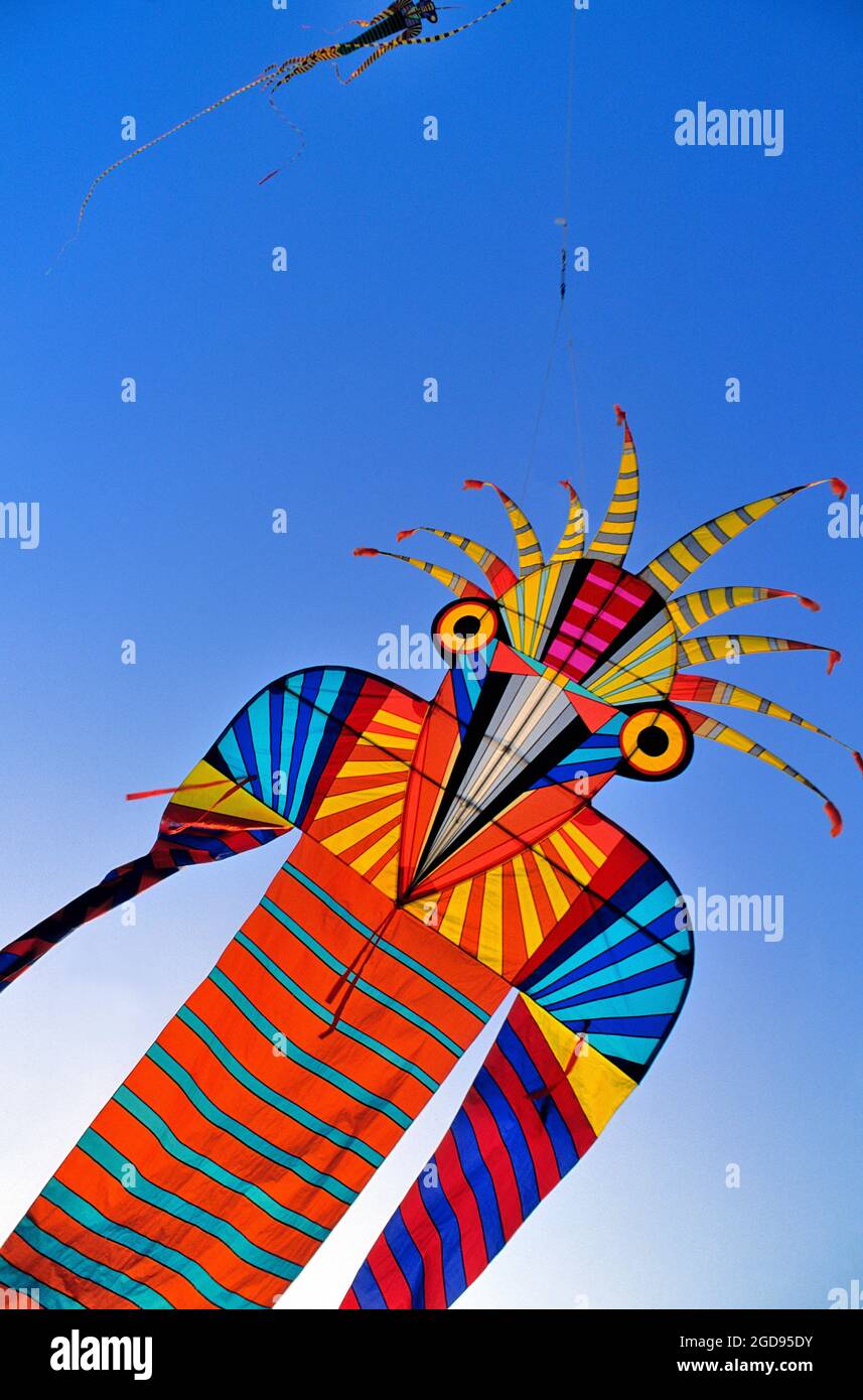 FRANCIA, FESTIVAL DI AQUILONI, AQUILONI PIATTI DI GEORGE PETERS USA KITE DESIGNER Foto Stock