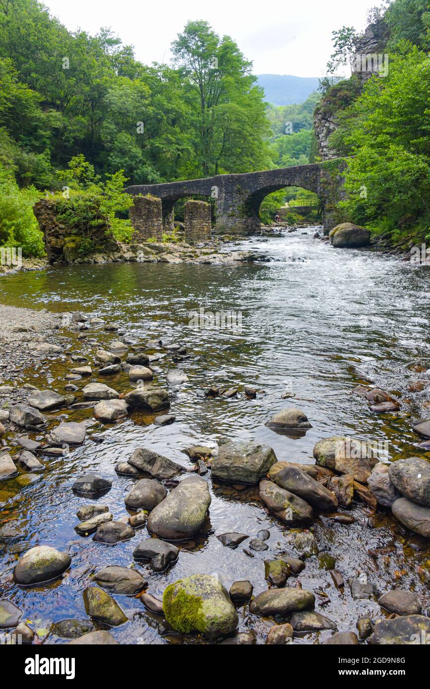 Puente de las Brujas e il fiume Leitzaran. Andoian, Gipuzkoa, Paesi Baschi, Spagna Foto Stock