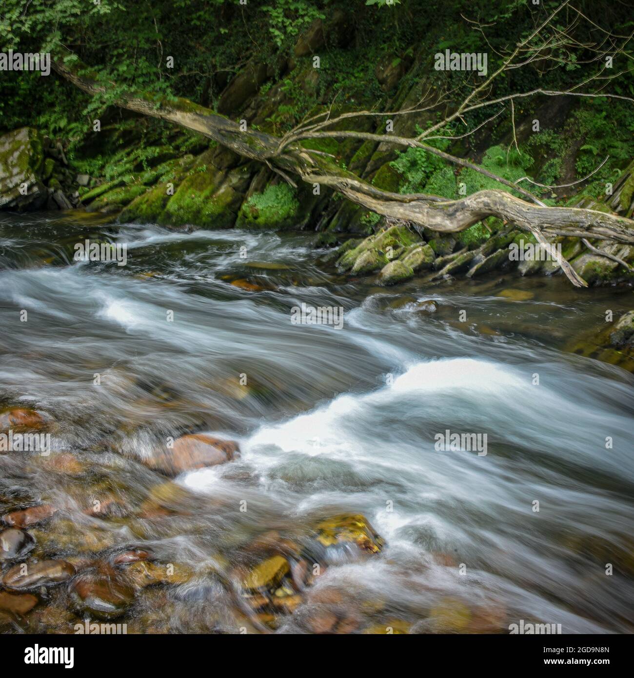 Puente de las Brujas e il fiume Leitzaran. Andoian, Gipuzkoa, Paesi Baschi, Spagna Foto Stock