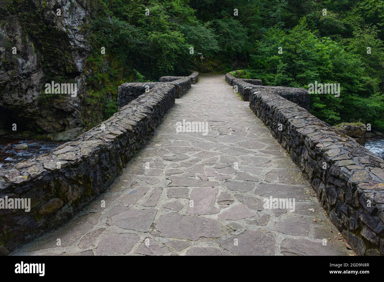 Puente de las Brujas e il fiume Leitzaran. Andoian, Gipuzkoa, Paesi Baschi, Spagna Foto Stock