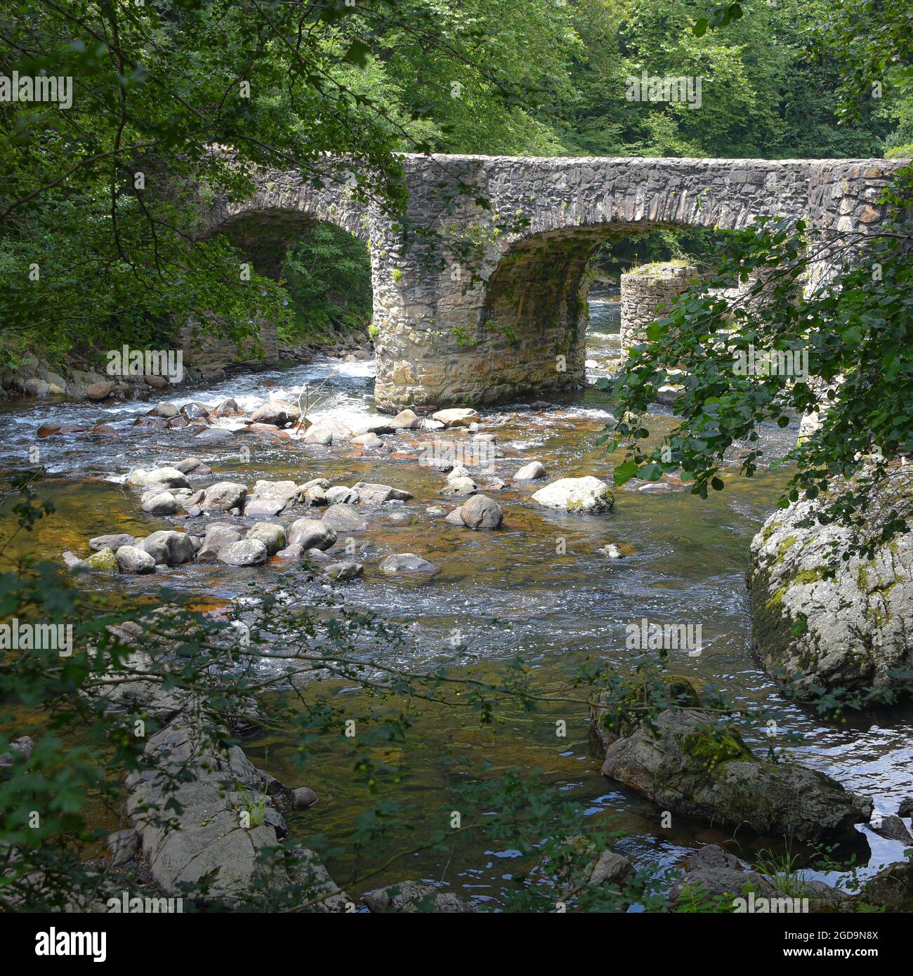 Puente de las Brujas e il fiume Leitzaran. Andoian, Gipuzkoa, Paesi Baschi, Spagna Foto Stock