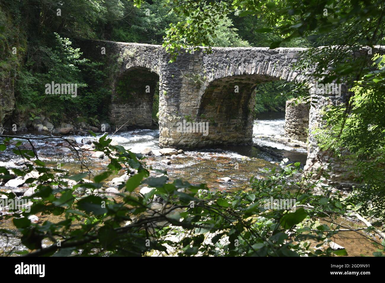 Puente de las Brujas e il fiume Leitzaran. Andoian, Gipuzkoa, Paesi Baschi, Spagna Foto Stock