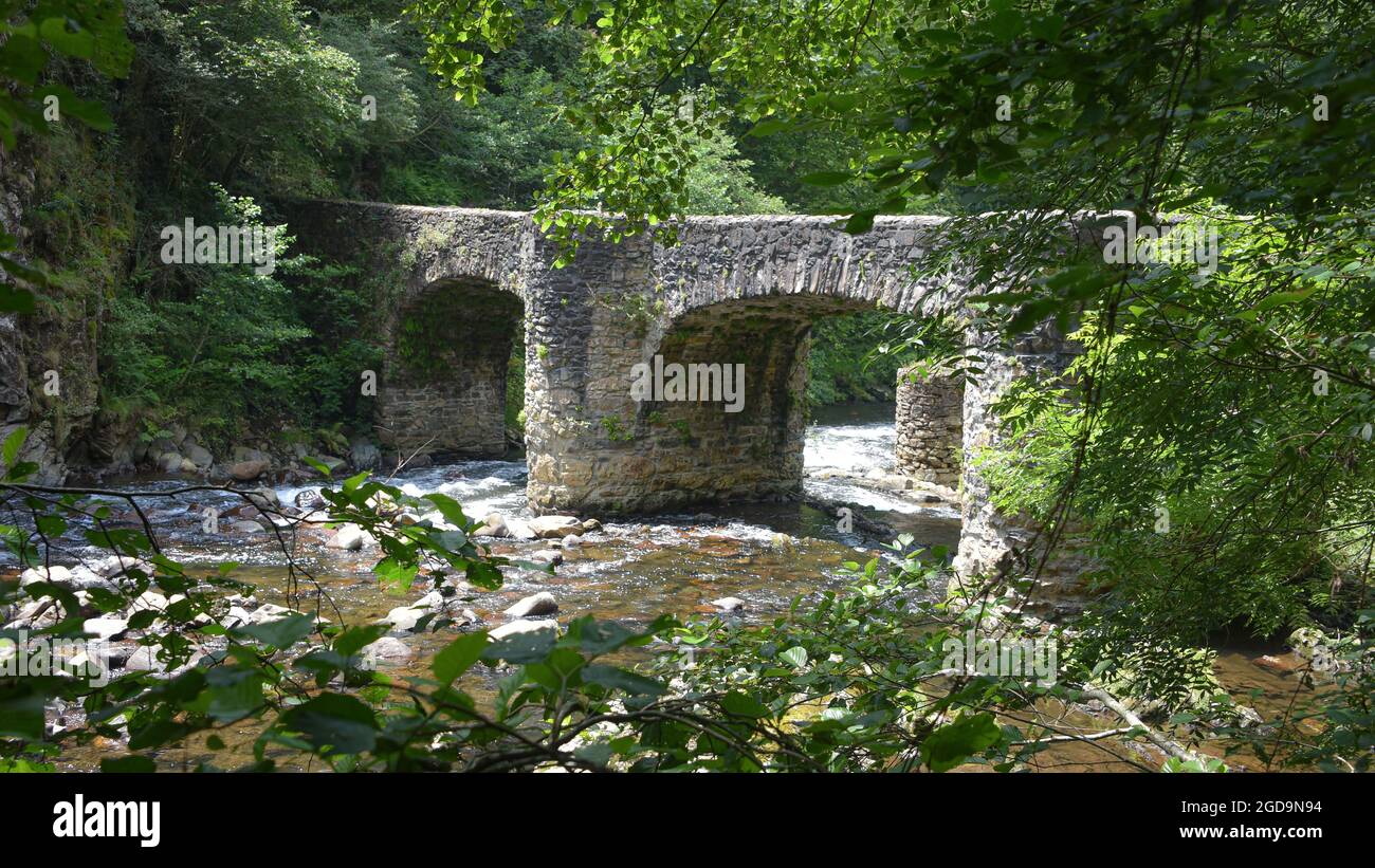 Puente de las Brujas e il fiume Leitzaran. Andoian, Gipuzkoa, Paesi Baschi, Spagna Foto Stock