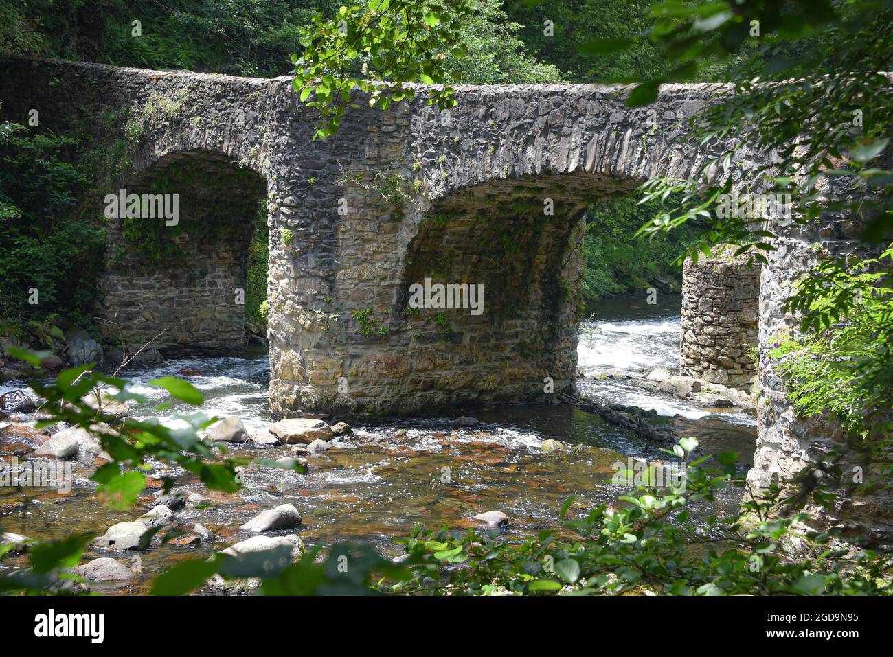 Puente de las Brujas e il fiume Leitzaran. Andoian, Gipuzkoa, Paesi Baschi, Spagna Foto Stock