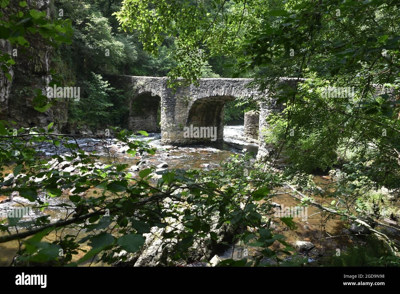 Puente de las Brujas e il fiume Leitzaran. Andoian, Gipuzkoa, Paesi Baschi, Spagna Foto Stock