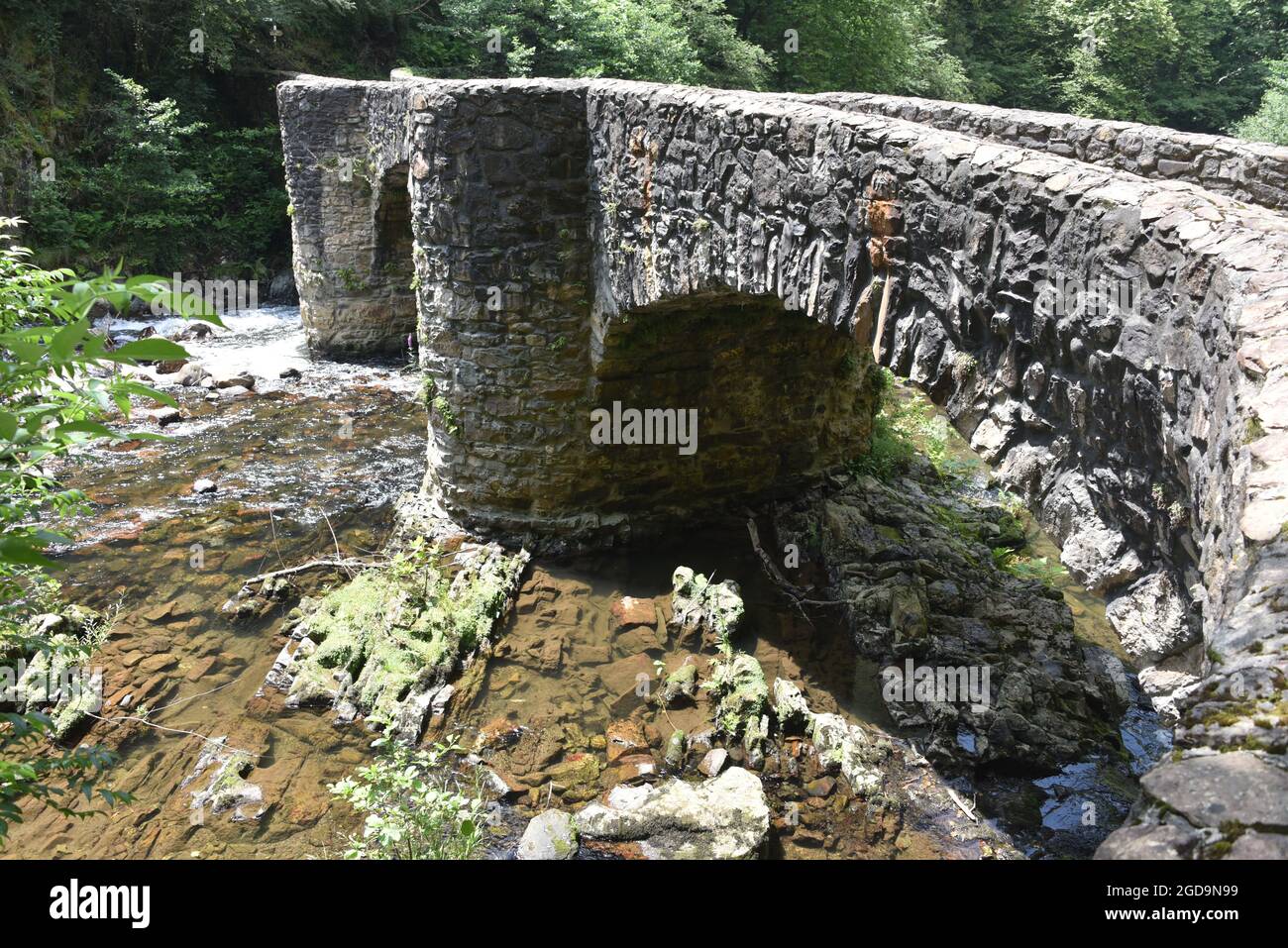 Puente de las Brujas e il fiume Leitzaran. Andoian, Gipuzkoa, Paesi Baschi, Spagna Foto Stock