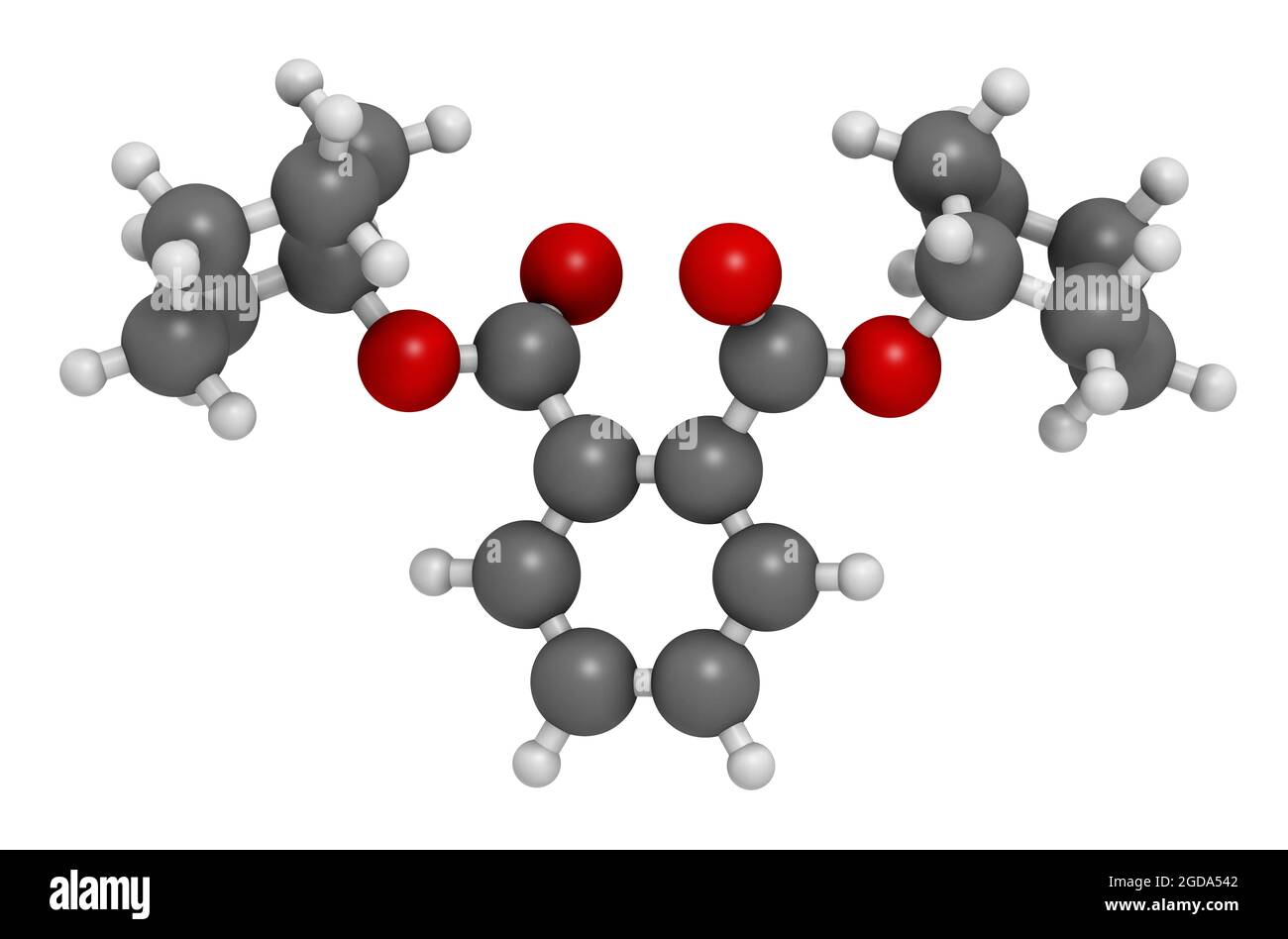 Molecola di plastificante dicicloesilftalato (DCP). Rendering 3D. Foto Stock