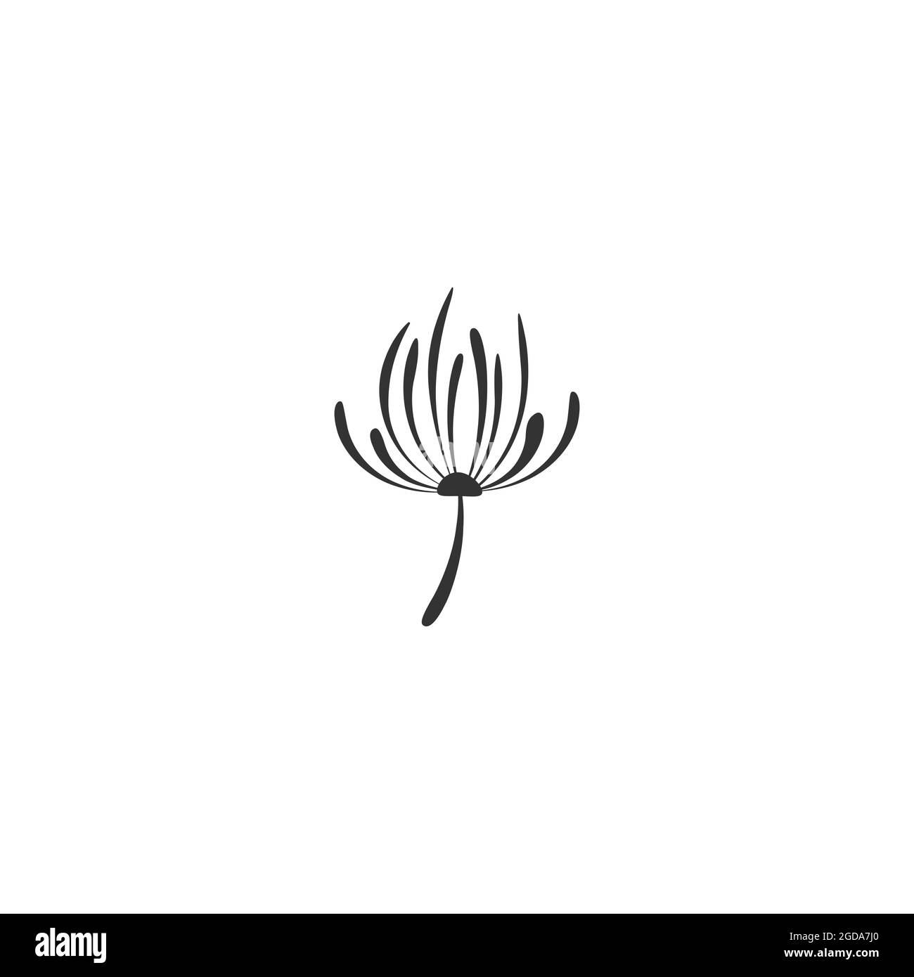 Icona piatta nera del fiore del dente di leone con la punta curva. Grande fiore con grandi petali di shabby. Isolato su bianco. Illustrazione vettoriale. Stile ecologico. Natura Sim Illustrazione Vettoriale
