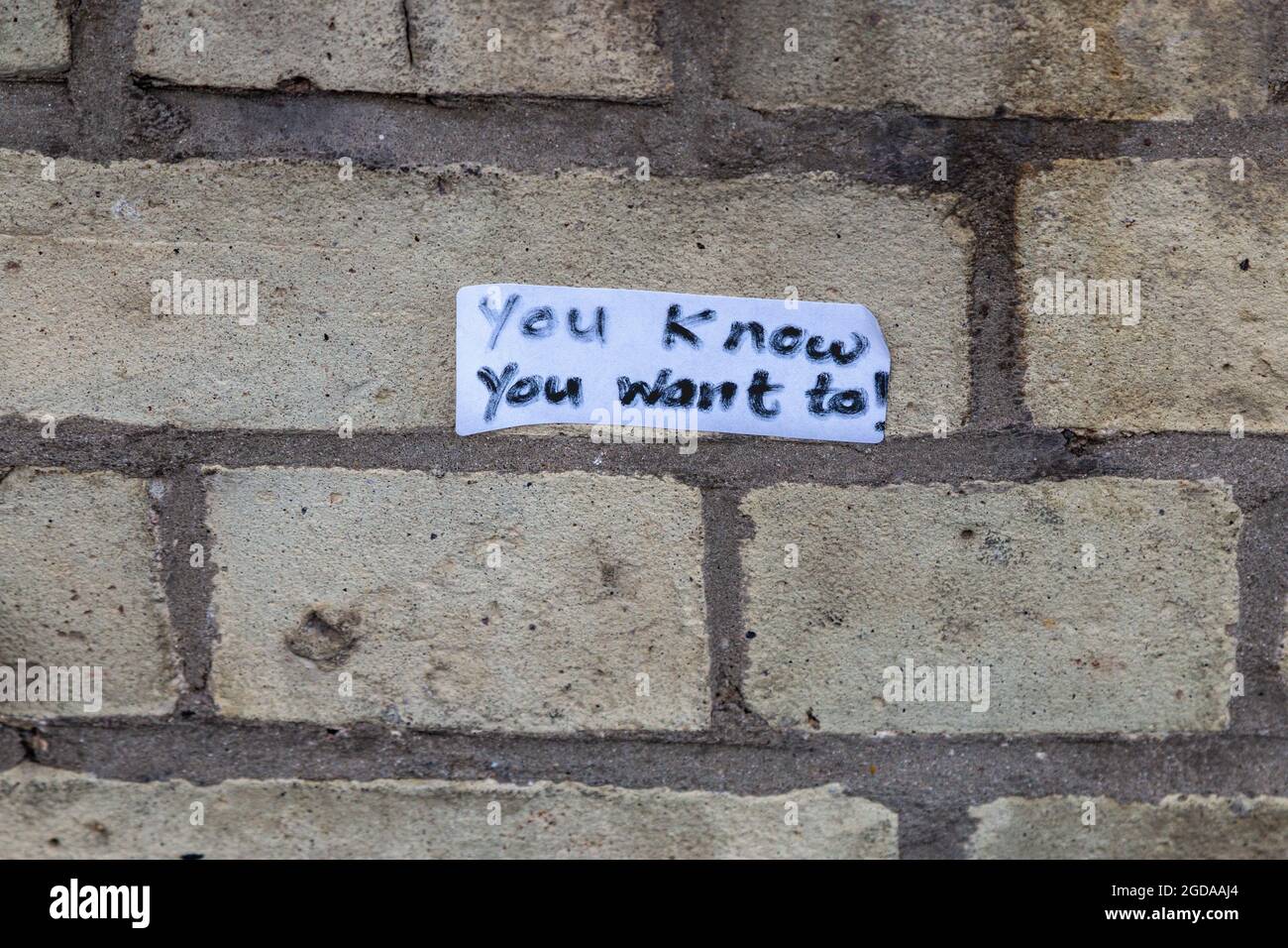 Un adesivo che indica "lo sai che vuoi!" è bloccato ad un muro di mattone giallo. Cambridge, Regno Unito Foto Stock