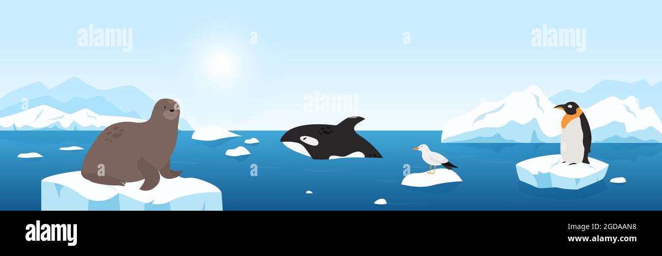 Animali artici in mare con iceberg e acque blu illustrazione vettoriale. Cartoon divertente gabbiano di walrus pinguino galleggianti su ghiaccio, animali selvatici carini e uccelli di sfondo artico fauna selvatica Illustrazione Vettoriale
