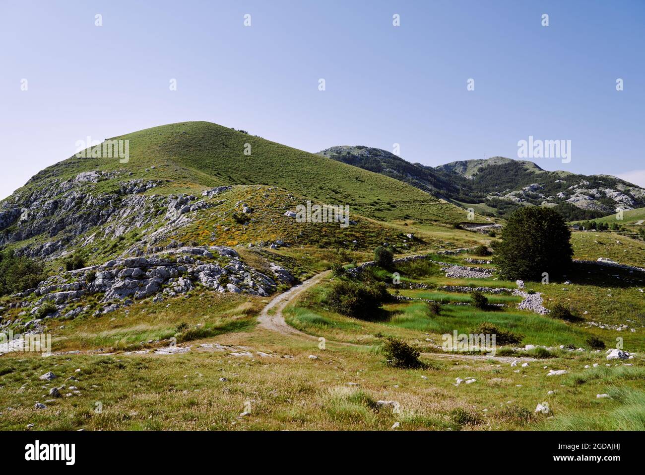 La strada si snoda attraverso montagne rocciose coperte di verde Foto Stock