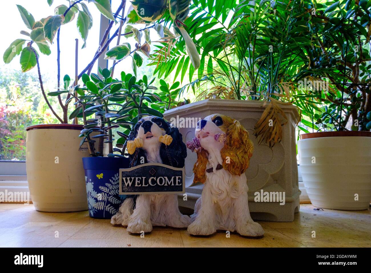 Abbinate i cani ornamentali seduti sul pavimento con un cartello di benvenuto. Seduta da piante e accanto ad una porta patio. 2021 Foto Stock