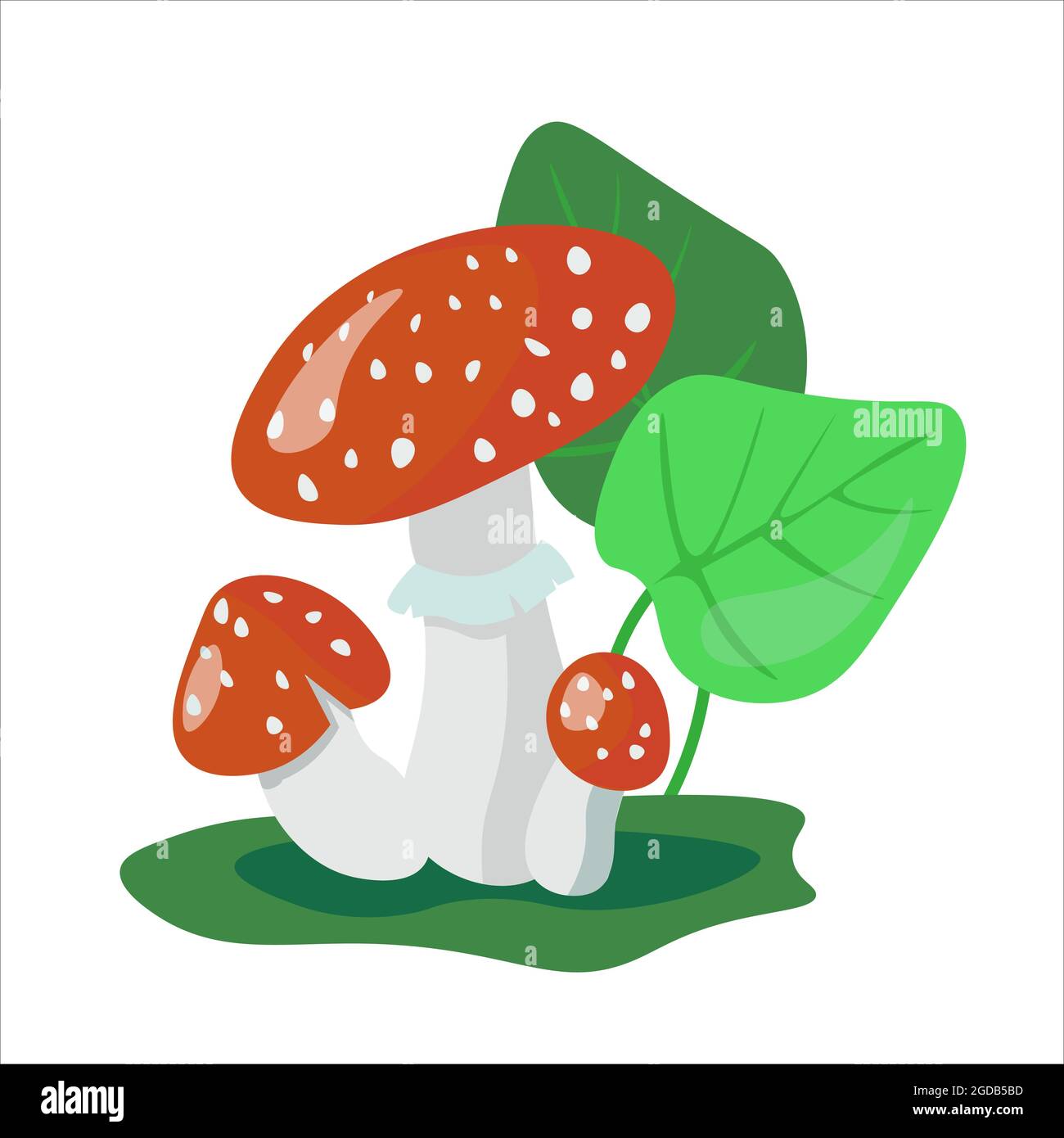 Vettore funghi avvelenati volare agarici Illustrazione Vettoriale