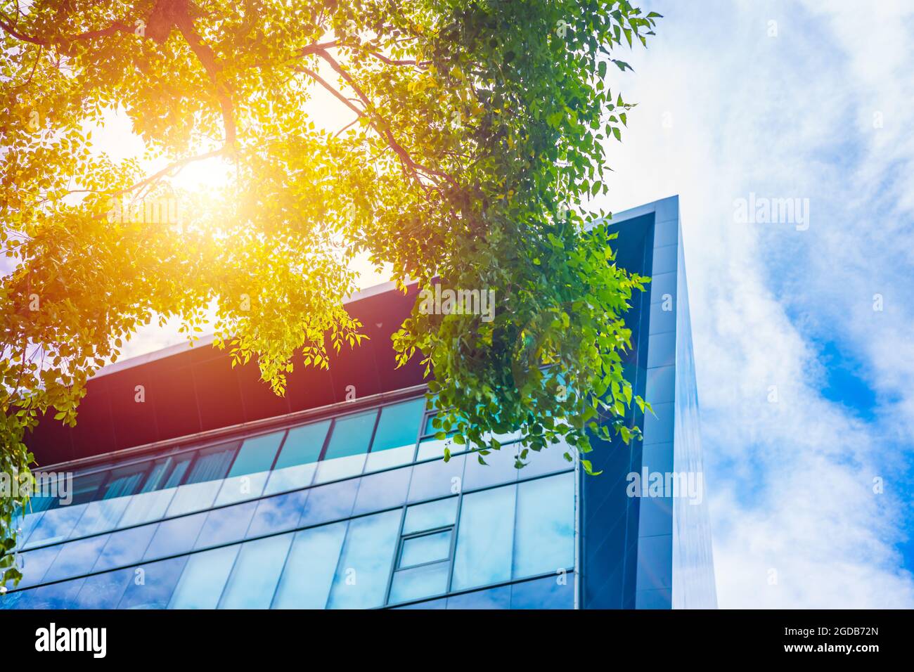 Moderno edificio urbano Eco con pianta ad albero per purificare l'aria all'ozono e proteggere dal calore solare per risparmiare energia. Foto Stock