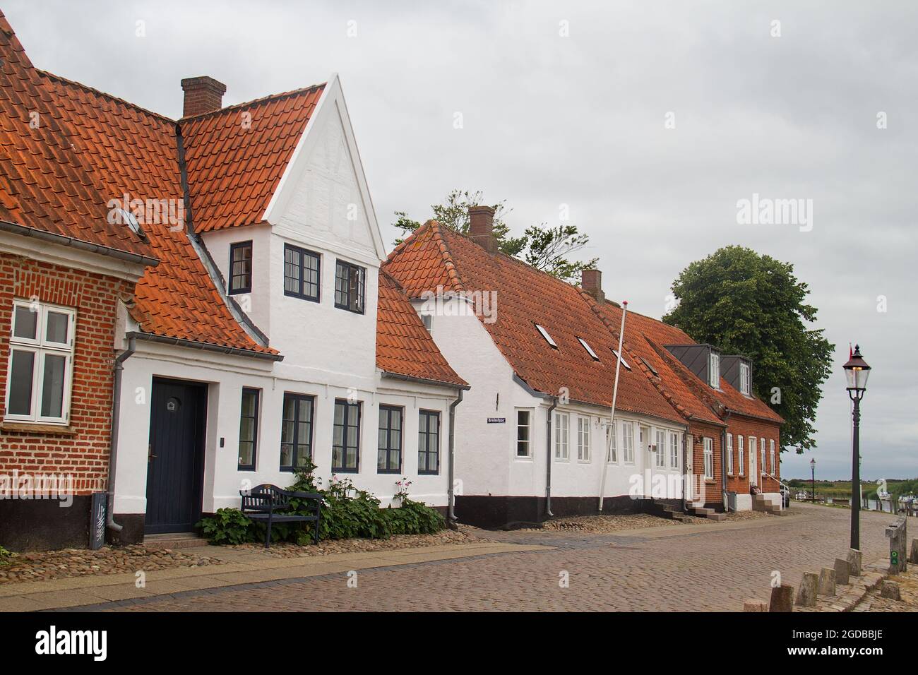 Accogliente strada acciottolata con case bianche e rosse coltivate a rose a Ribe, Danimarca Foto Stock