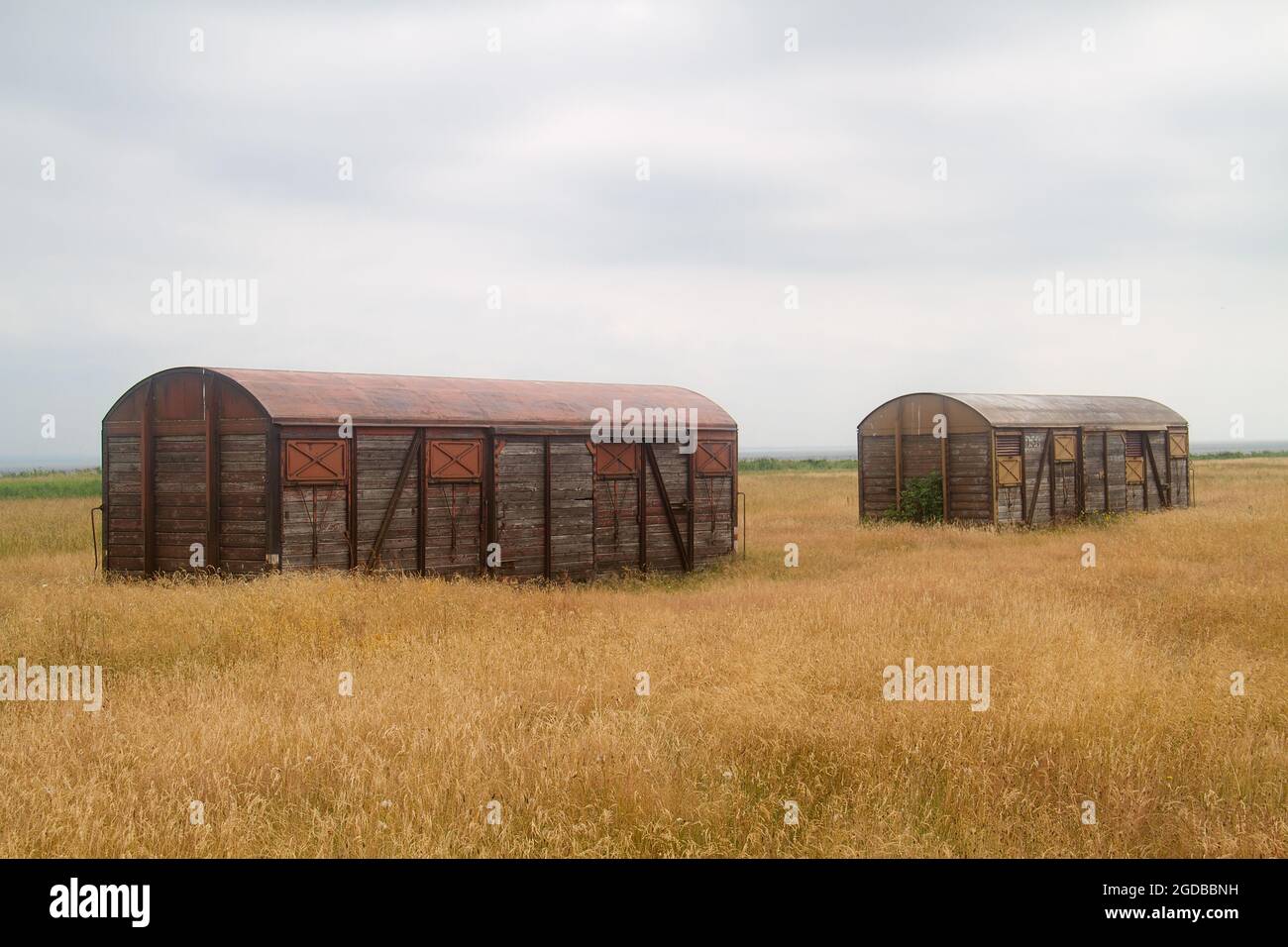 Due vecchi vagoni per il trasporto merci in aeroporto in campo Foto Stock