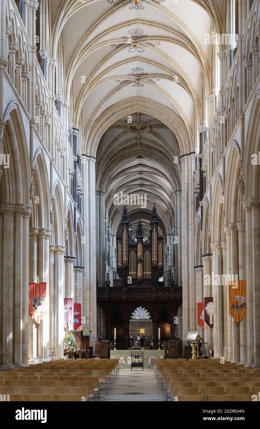The nave, Beverley Minster Church interior, Beverley Yorkshire Regno Unito Foto Stock