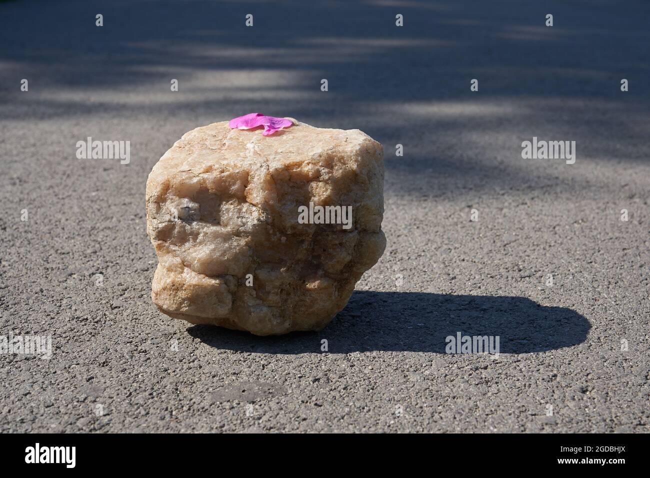 Un podio in pietra beige con petali di fiori rosa per dimostrare il vostro prodotto sull'asfalto. Foto di alta qualità Foto Stock