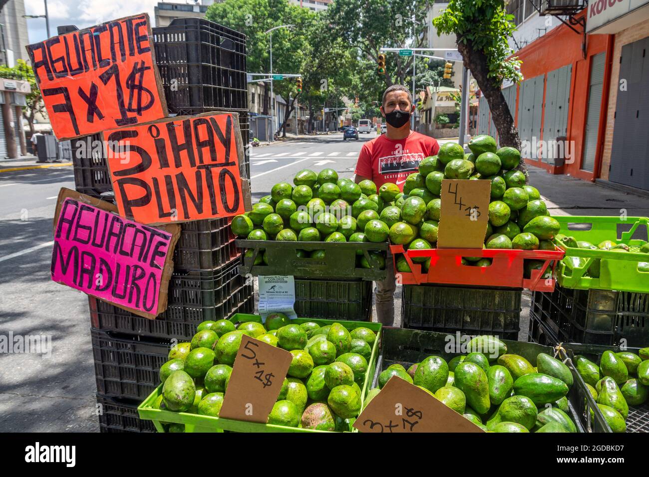 Un venditore di strada vende avocado di diversi tipi in dollari. Anche se la valuta ufficiale in Venezuela è ancora il Bolivar, il più ampiamente usato r Foto Stock