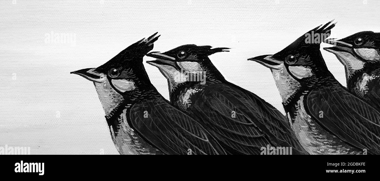 Foto da olio d'arte pittura uccello animale , bulbul rosso-whiskered Foto Stock