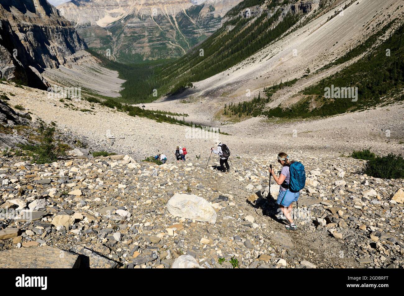 Escursioni a piedi lungo le pendici delle cascate, Stanley Glacier Trail, Kootenay National Park, British Columbia, Canada. Foto Stock