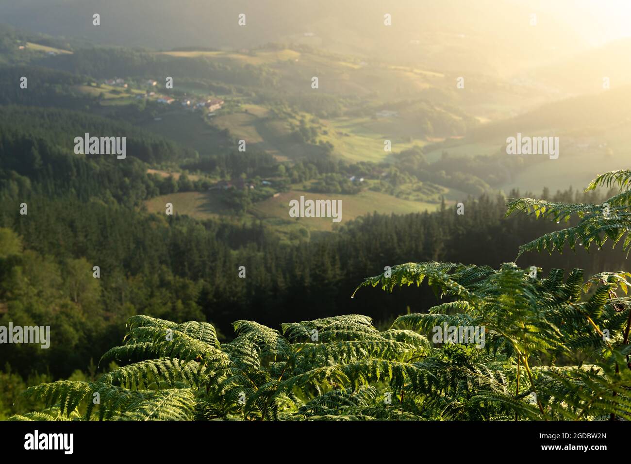 Valle di Aramaio all'alba dalla cappella di San Cristobal, Paesi Baschi, Spagna Foto Stock