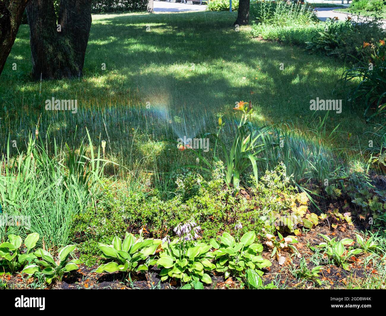 arcobaleno durante l'innaffiamento del prato nel parco cittadino nella soleggiata giornata estiva Foto Stock