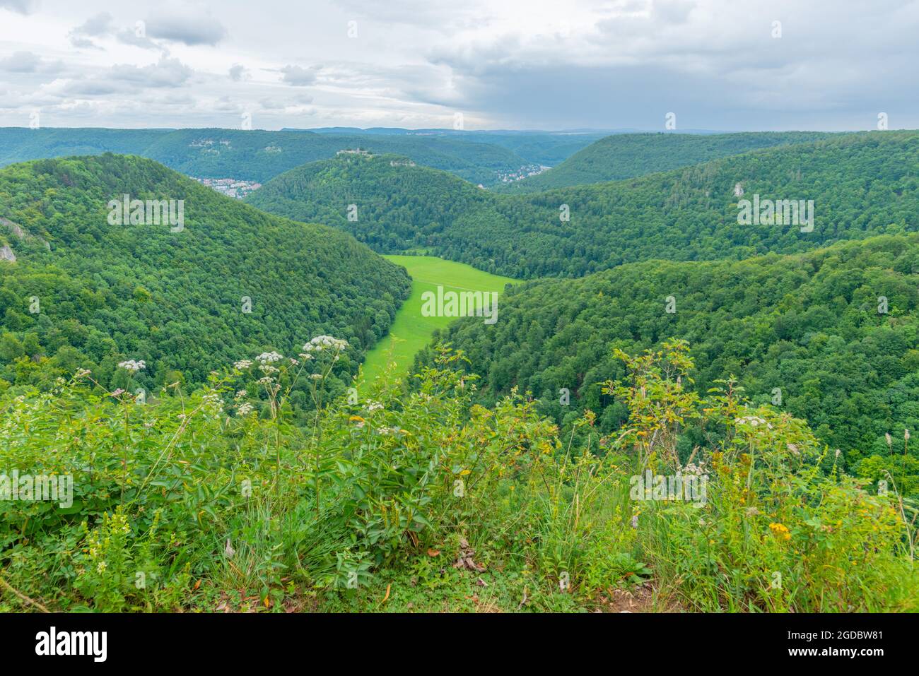 Lungo il sentiero escursionistico Wasserfallsteig, biosfera riserva Svevo Alb, Baden-Württemberg, Germania meridionale, Europa Foto Stock