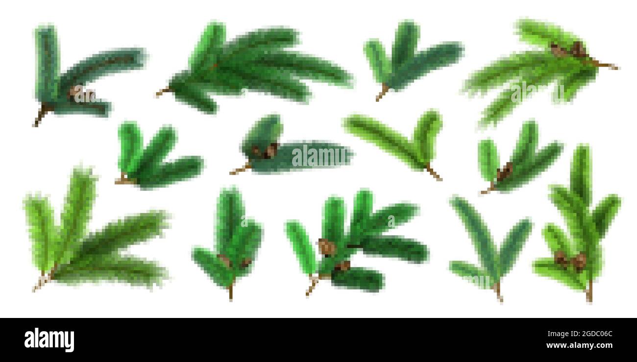 Rami realistici dell'albero di natale e ramoscelli di abete con pinecone. Evergreen xmas pine decorazione ghirlande. set di aghi vettoriali per pini forestali 3d Illustrazione Vettoriale