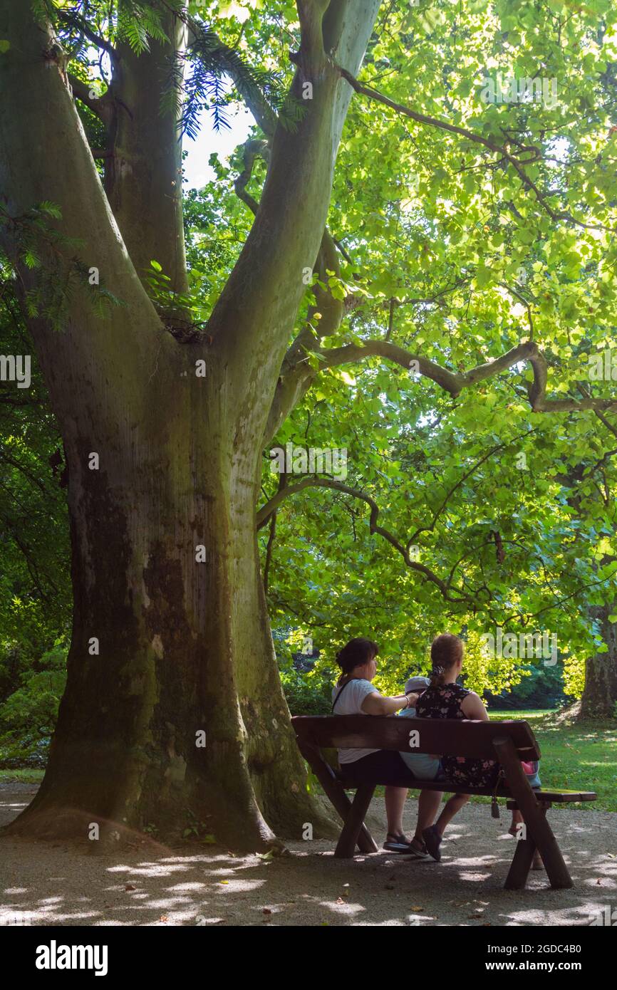 Visitatori seduti su panchine a Sarvar arboretum, Sarvar, Ungheria Foto Stock