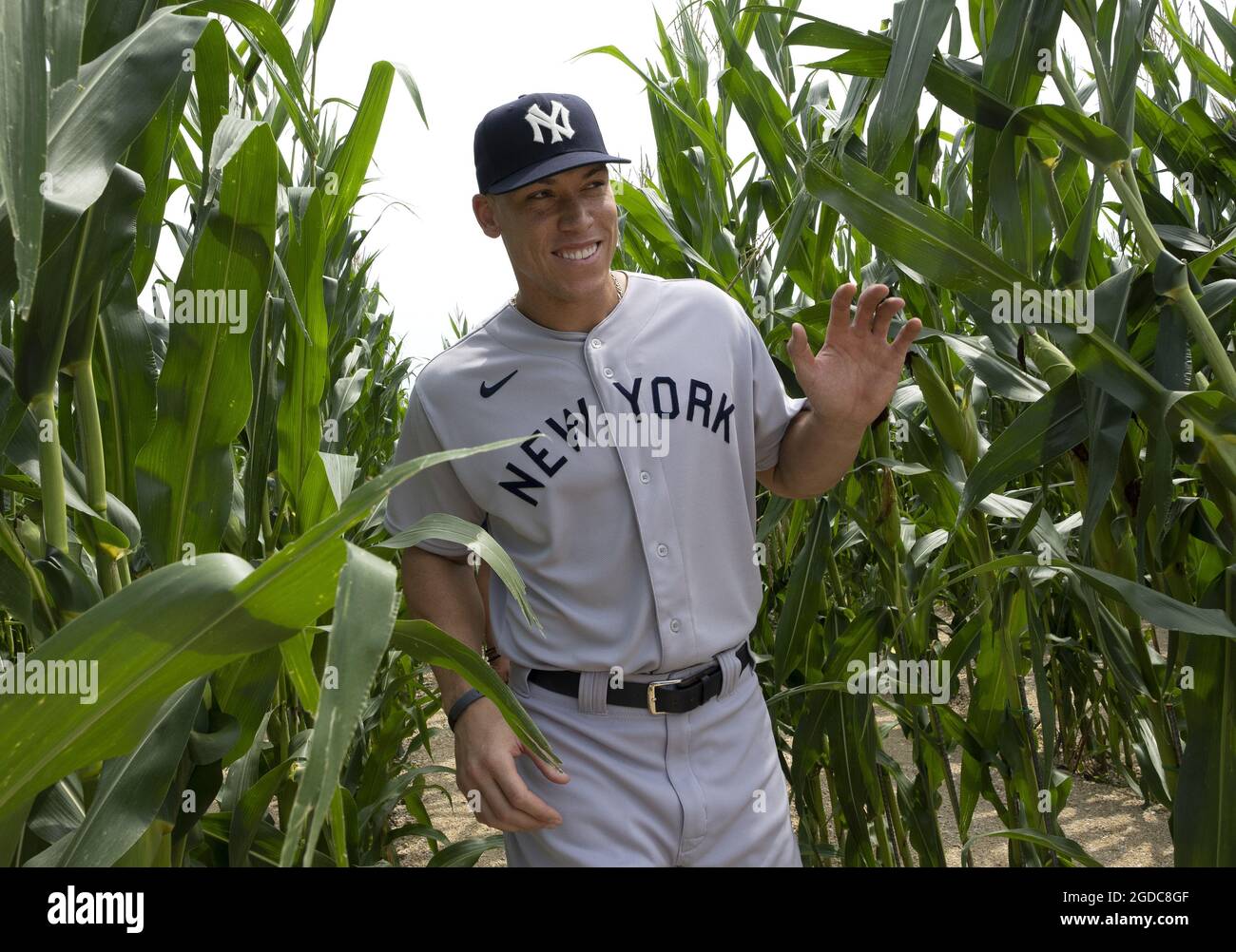 Dyersville, Stati Uniti. 12 agosto 2021. Lo star degli Yankees di New York Aaron Judge cammina attraverso il campo di baseball del set cinematografico 1989 del "Field of Dreams" mentre si prepara a una partita in un campo di baseball adiacente del MLB Field of Dreams a Dyersville, Iowa, giovedì 12 agosto 2021. I New York Yankees e i Chicago White Sox suoneranno la prima partita di stagione regolare della MLB in Iowa. Photo by Pat Benic/UPI Credit: UPI/Alamy Live News Foto Stock