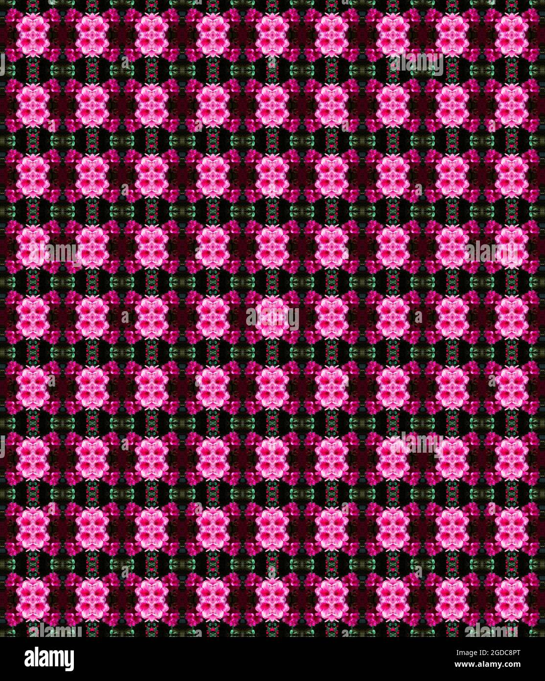 motivo senza cuciture quadrato in fiore di ciliegio rosa Foto Stock